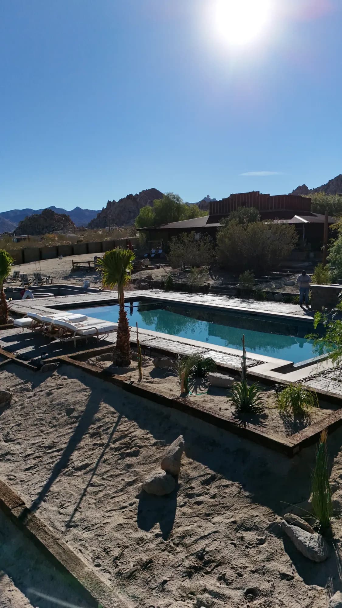 Rectangular pool and surrounding deck in a desert landscape at the California Avenue project